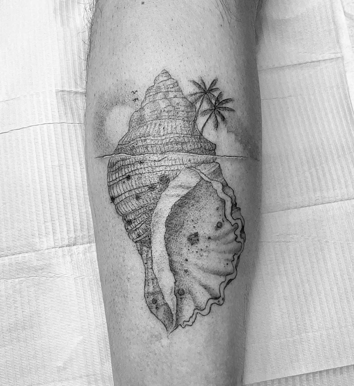 tattoo shell