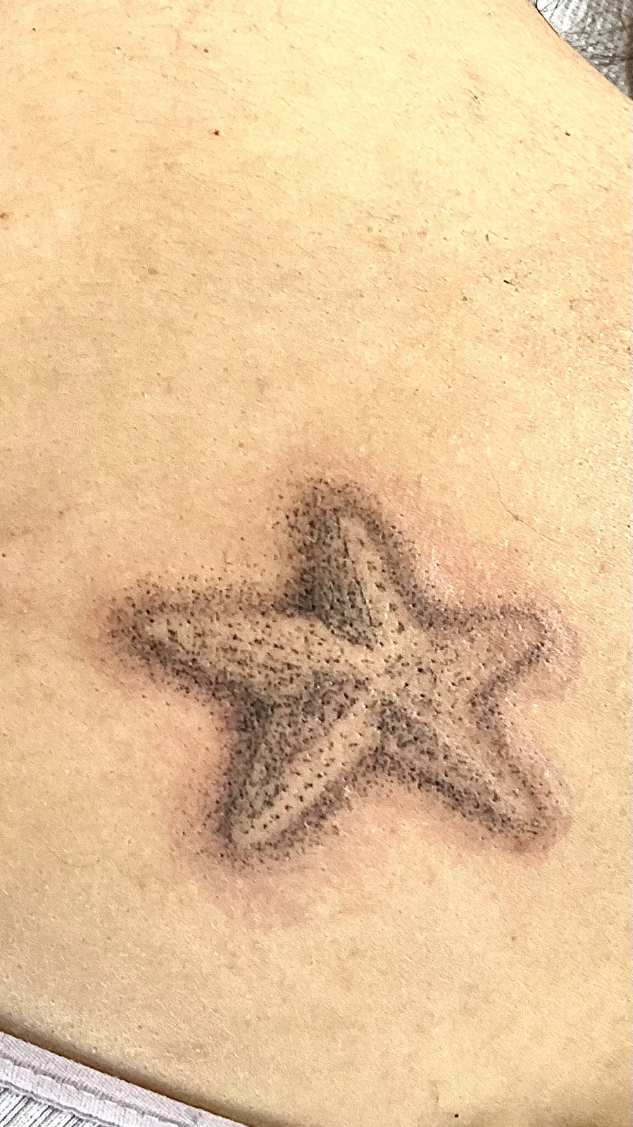 tattoo seastar