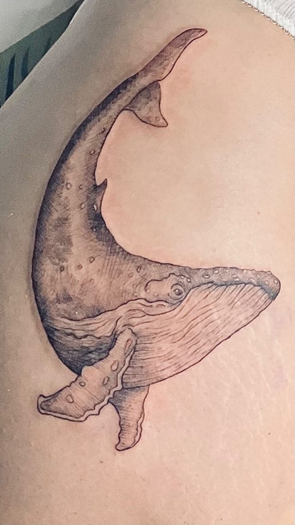 tattoo whale